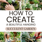 How to Create a Beautiful Hanging Succulent Garden