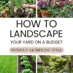 How to Landscape Your Yard on a Budget Without Sacrificing Style