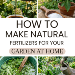 How to Make Natural Fertilizers for Your Garden at Home