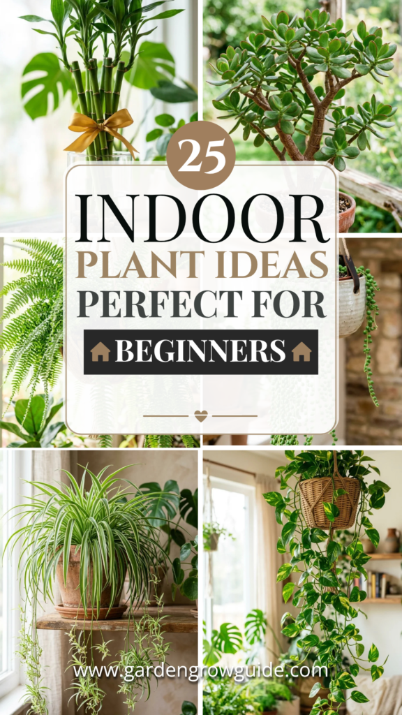 25 Indoor Plant Ideas Perfect for Beginners
