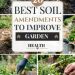 20 Best Soil Amendments to Improve Garden Health