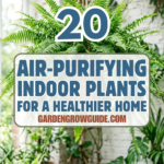 20 Air-Purifying Indoor Plants for a Healthier Home