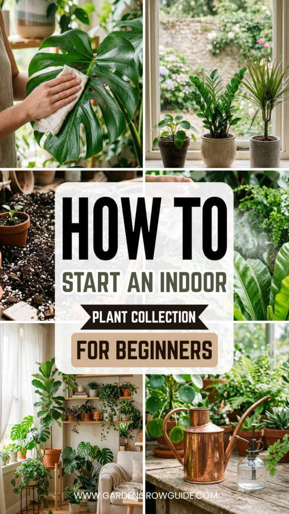 How to Start an Indoor Plant Collection for Beginners