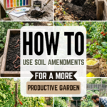 How to Use Soil Amendments for a More Productive Garden