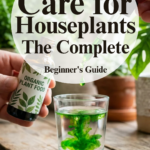 How to Care for Houseplants: The Complete Beginner’s Guide