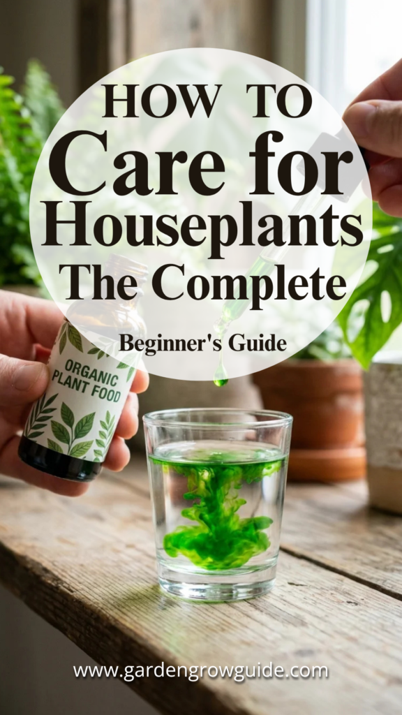 How to Care for Houseplants: The Complete Beginner’s Guide