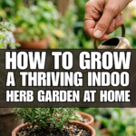 How to Grow a Thriving Indoor Herb Garden at Home