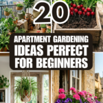 20 Apartment Gardening Ideas Perfect for Beginners