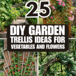 25 DIY Garden Trellis Ideas for Vegetables and Flowers