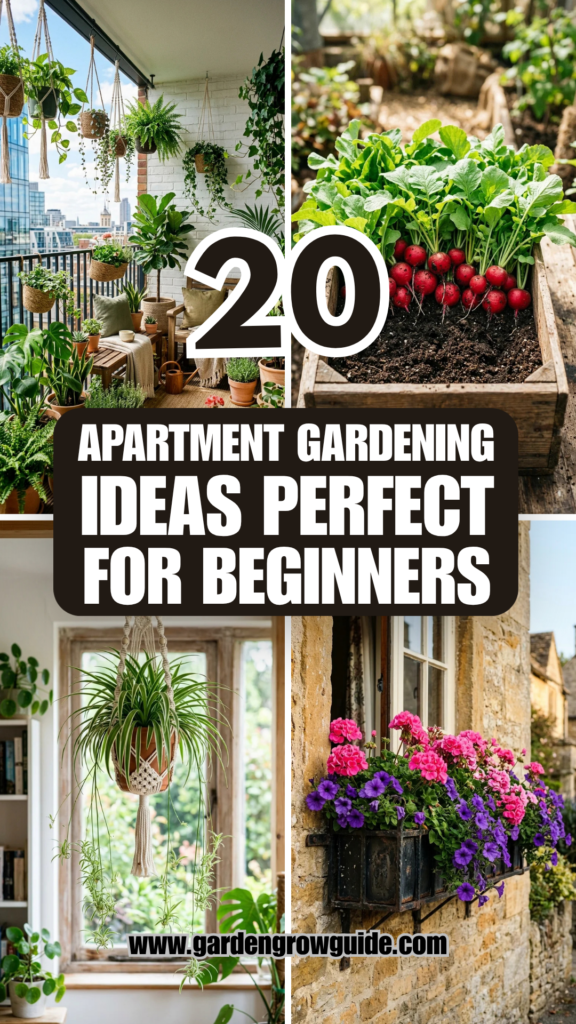 20 Apartment Gardening Ideas Perfect for Beginners
