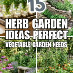 15 Herb Garden Ideas Perfect for Beginners