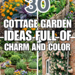 30 Cottage Garden Ideas Full of Charm and Color