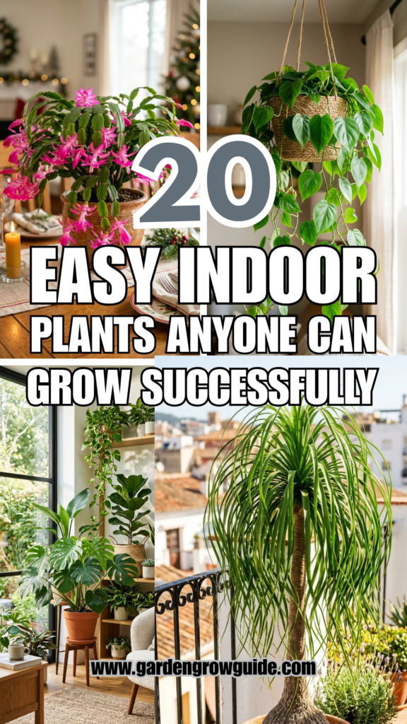 20 Easy Indoor Plants Anyone Can Grow Successfully