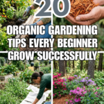 20 Organic Gardening Tips Every Beginner Should Know