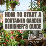 How to Start a Container Garden: Beginner’s Guide