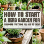 How to Start a Herb Garden for Beginners: Everything You Need to Know