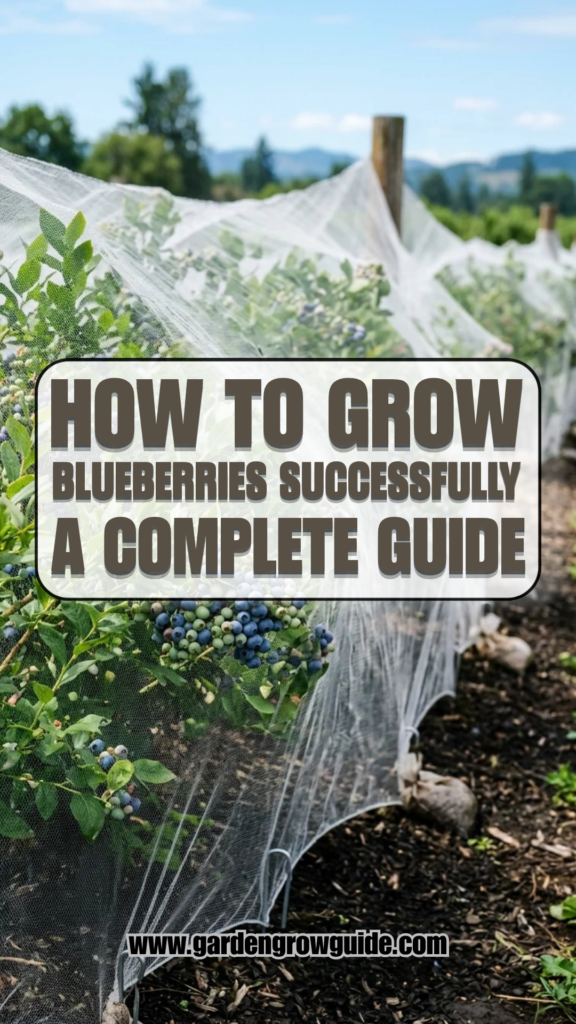 How to Grow Blueberries Successfully: A Complete Guide