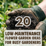 20 Low-Maintenance Flower Garden Ideas for Busy Gardeners