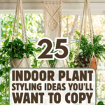 25 Indoor Plant Styling Ideas You’ll Want to Copy